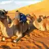14 Days Morocco Itinerary showcasing Casablanca, Fes, Merzouga and more.