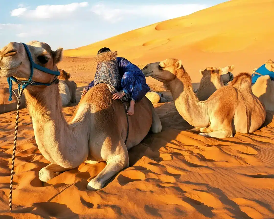 14 Days Morocco Itinerary showcasing Casablanca, Fes, Merzouga and more.