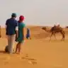 Stunning landscapes and cultural sites from a Morocco Travel Guide.